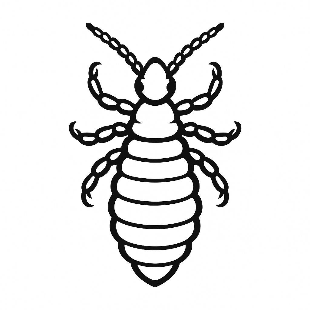 Clinica especializada en    pediculosis